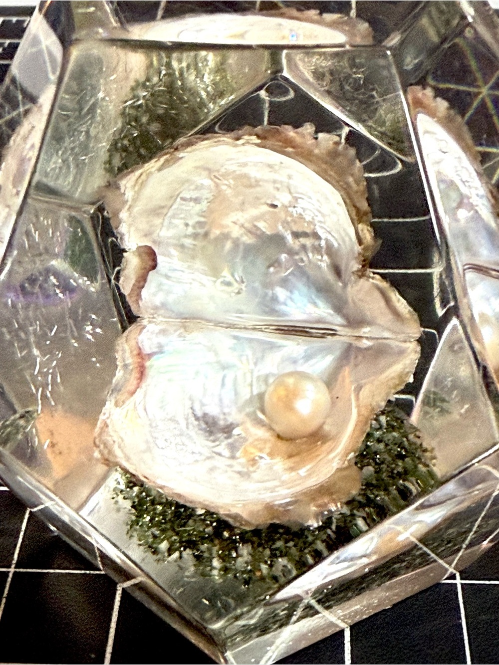 Vintage Lucite Paperweight With Pearl in Oyster Shell